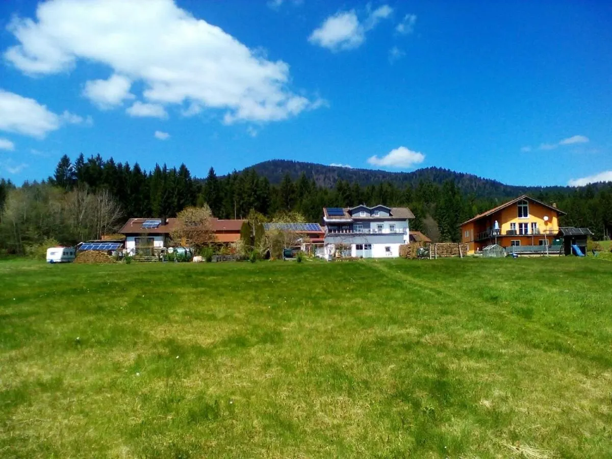 Gasthof Erlebnispension Zum Wanderer Sepp Arnbruck Deutschland