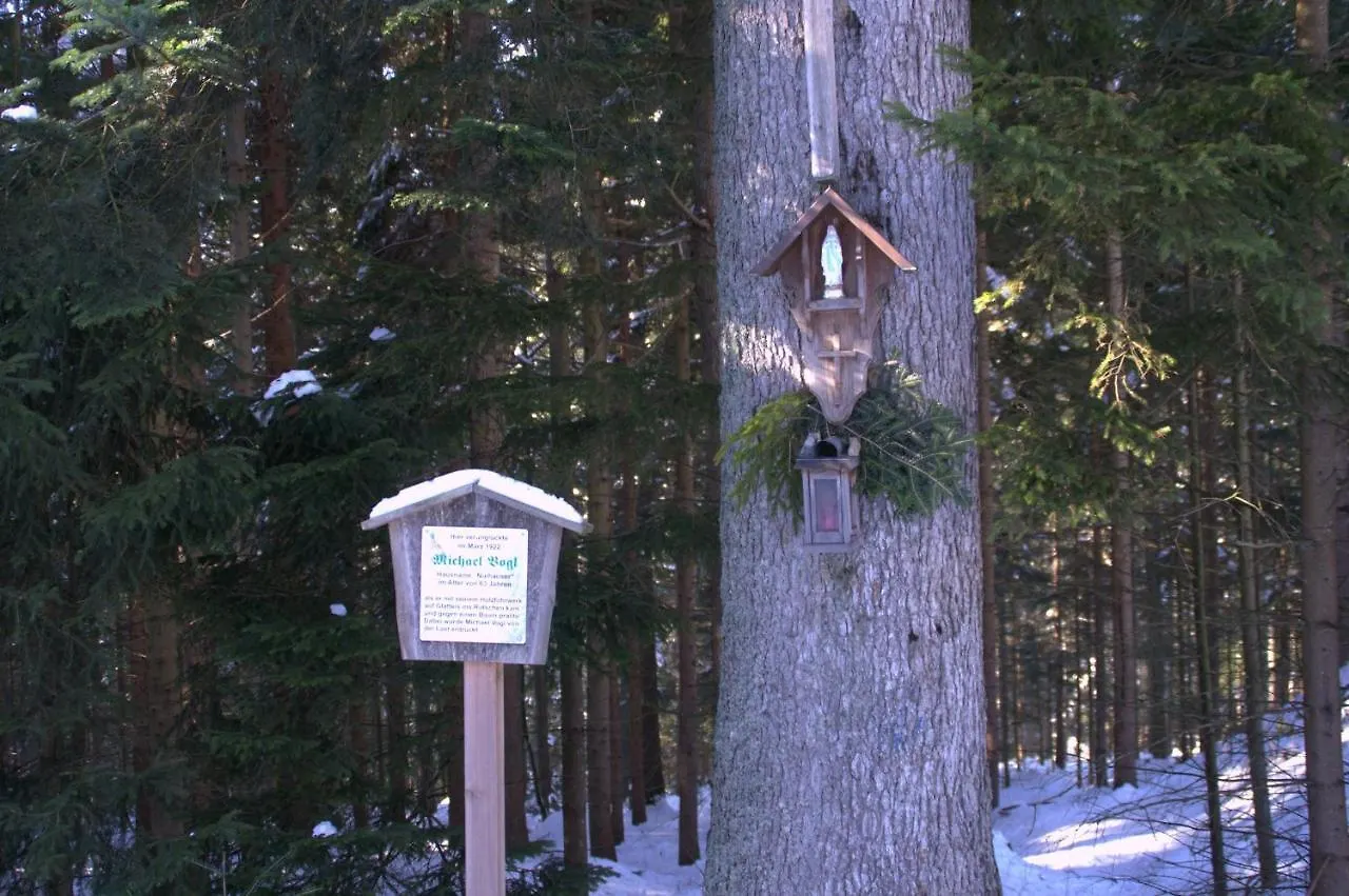 Erlebnispension Zum Wanderer Sepp Arnbruck 0*,
